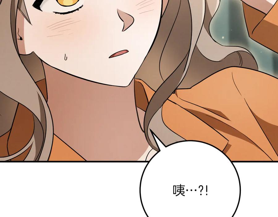 第259页