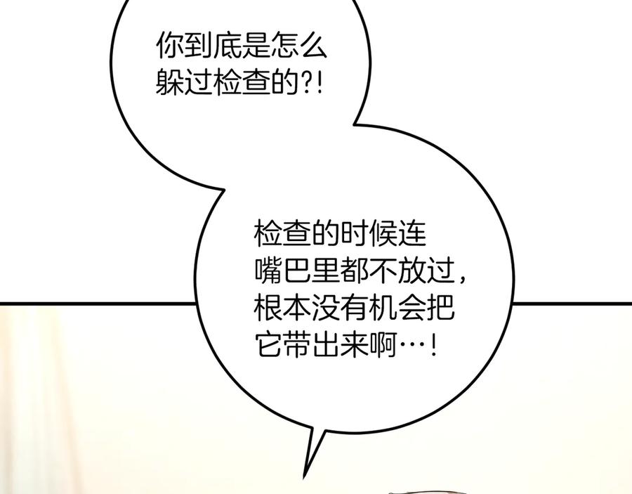 第264页