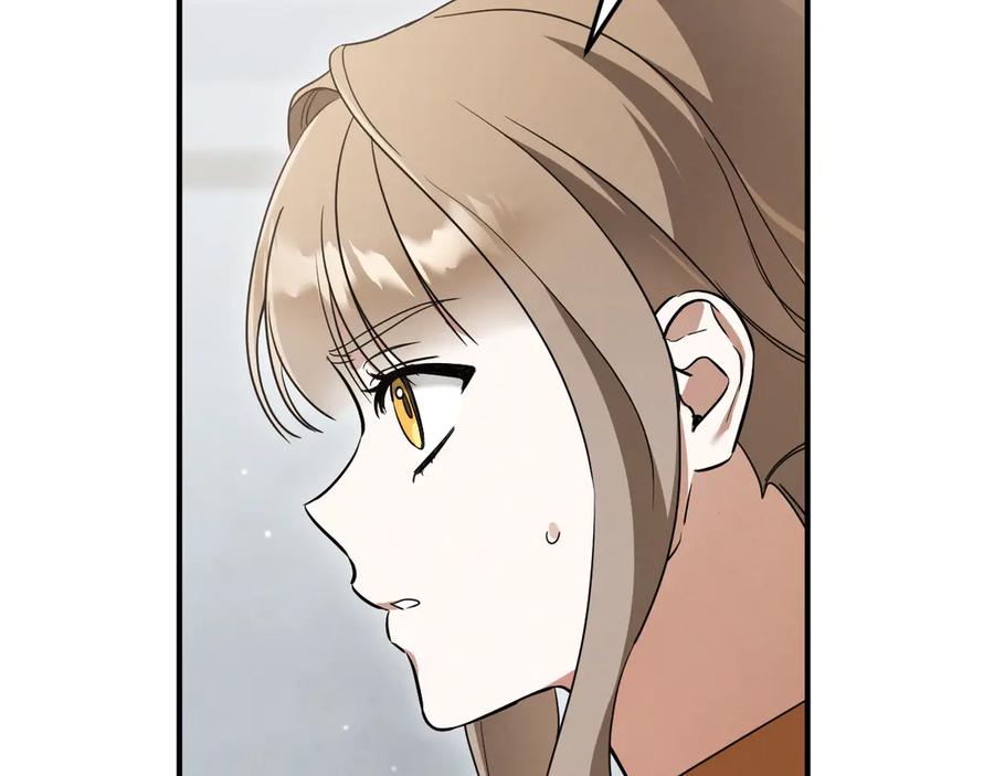 第223页