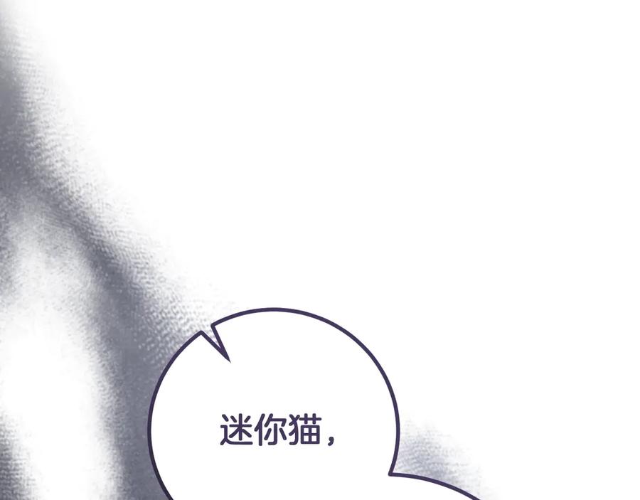 第264页