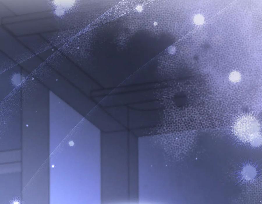 第242页