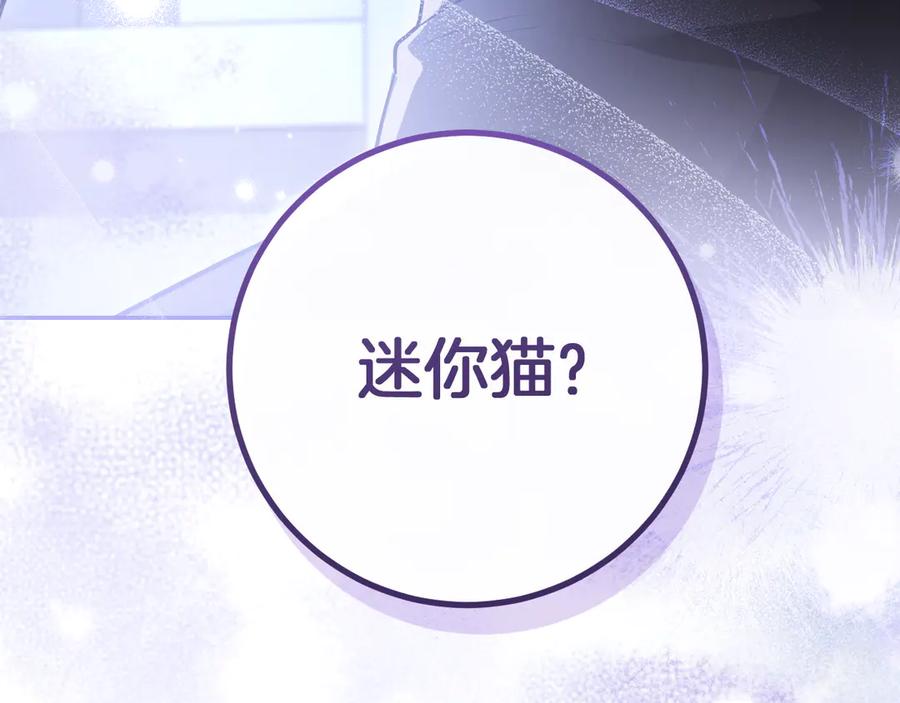 第246页