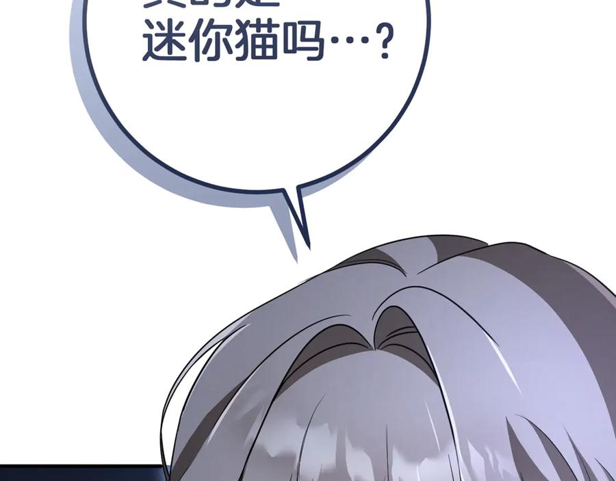 第254页