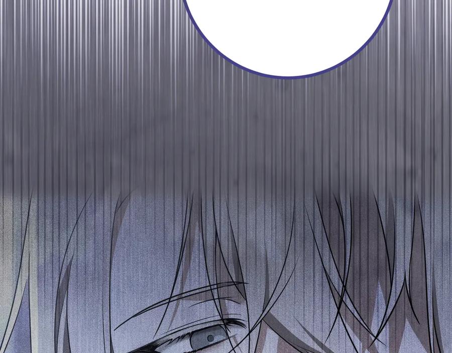 第238页