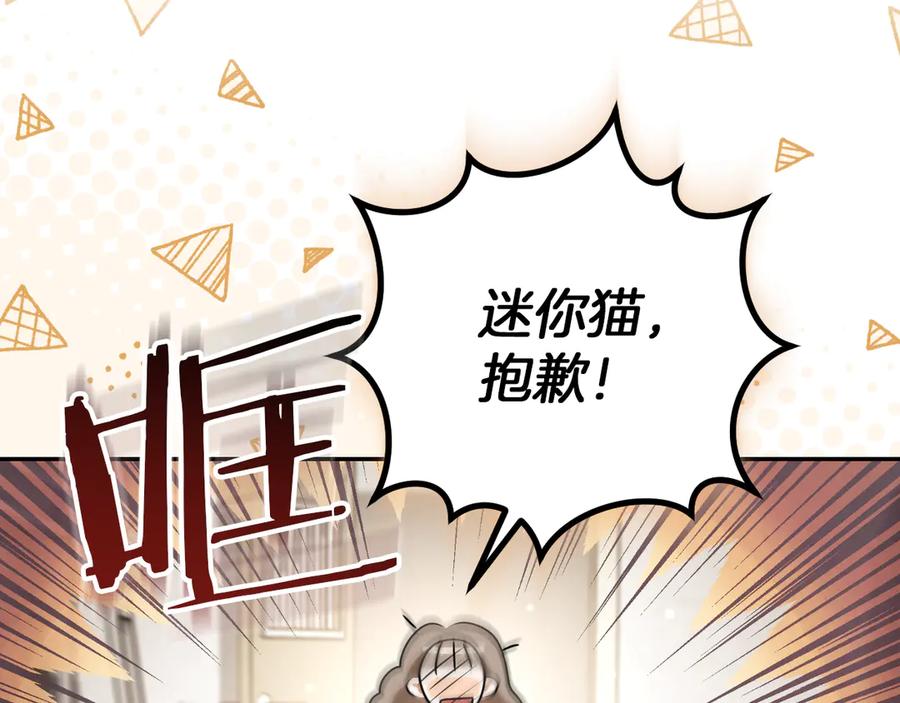 第251页