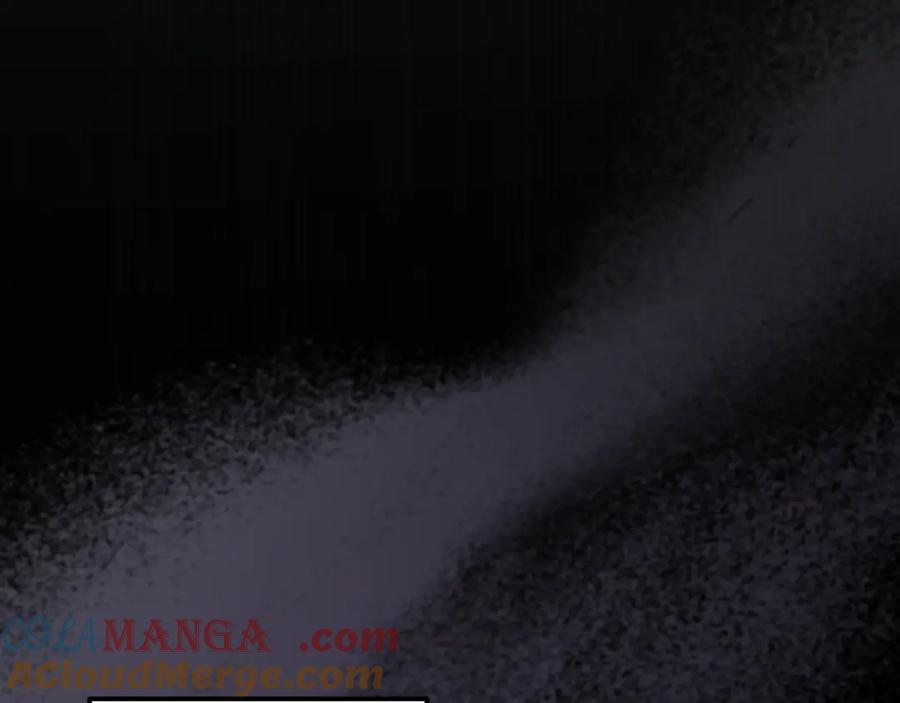 第241页
