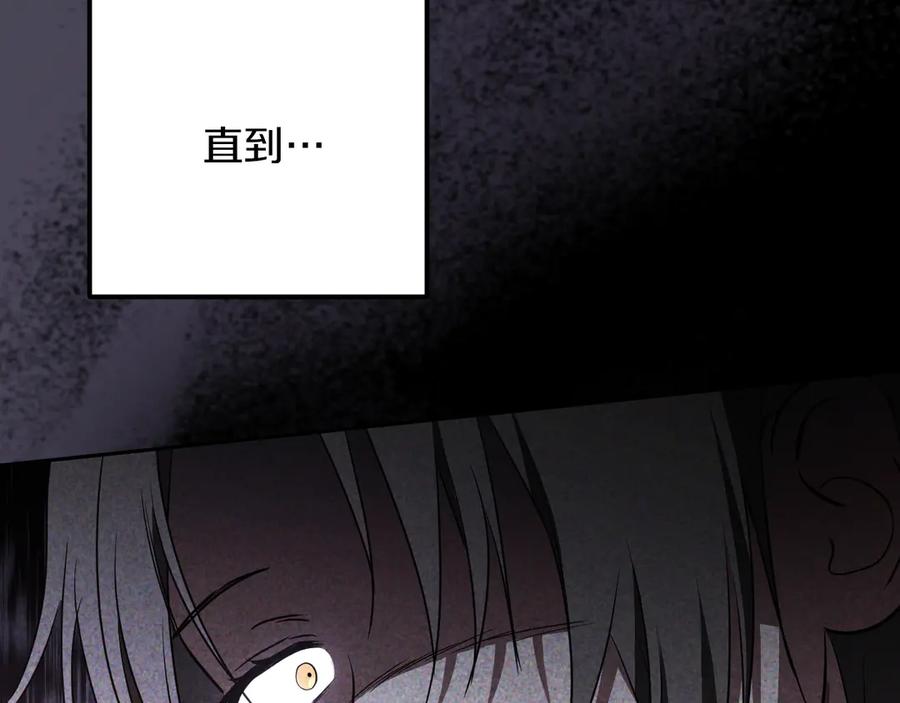 第242页