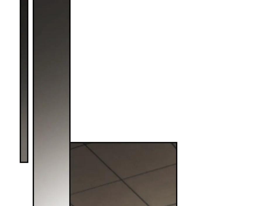 第255页