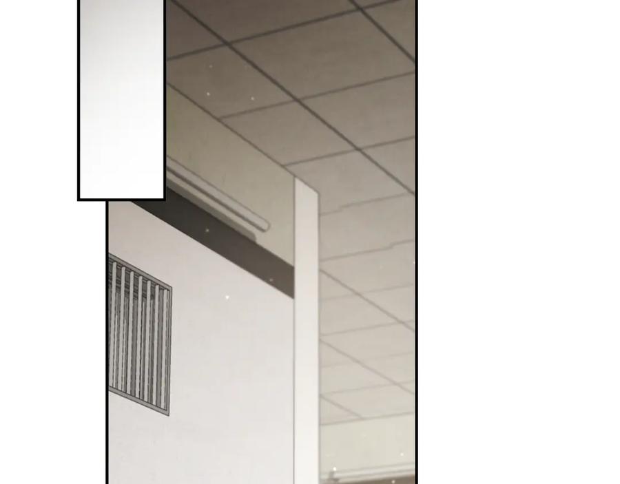 第256页