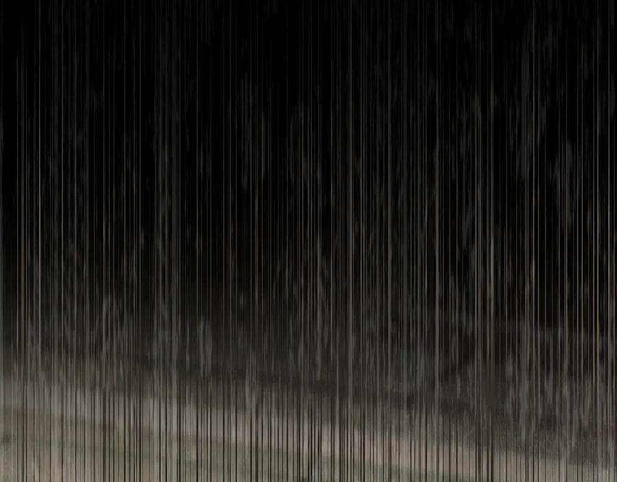 第204页