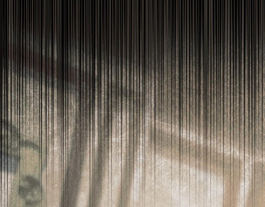 第210页