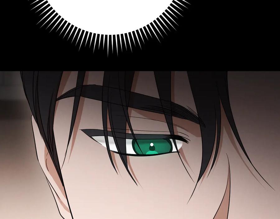 第223页