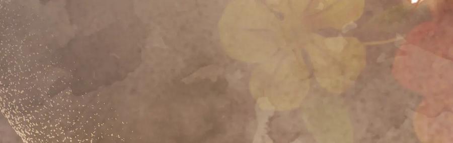 第230页