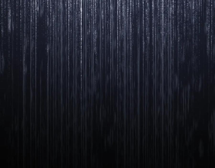 第264页