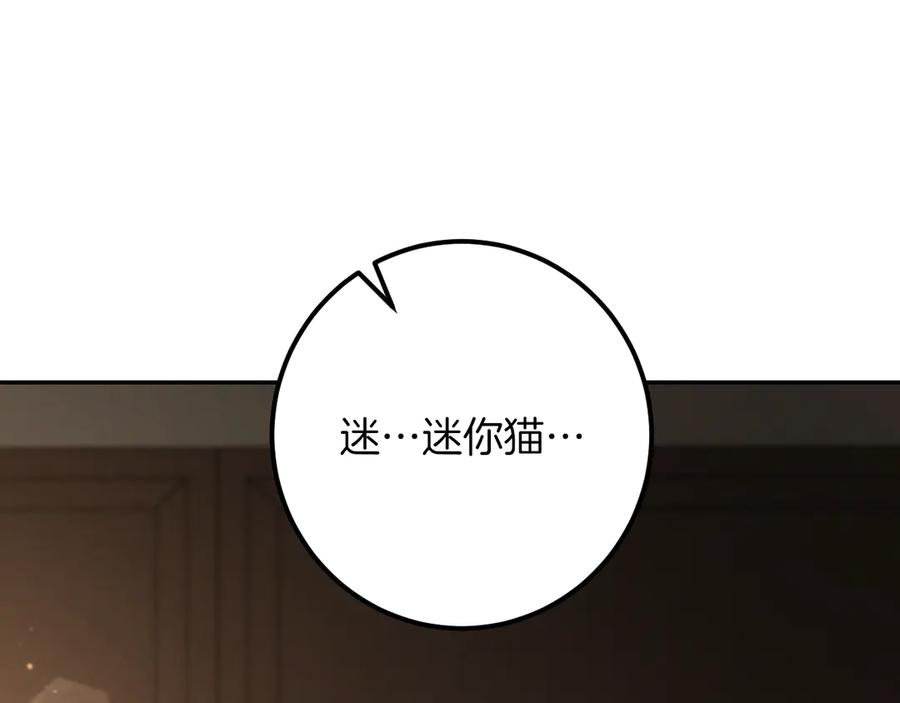 第235页