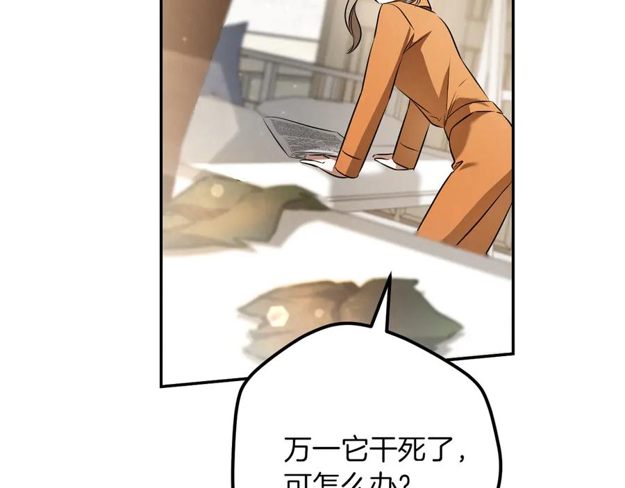 第267页
