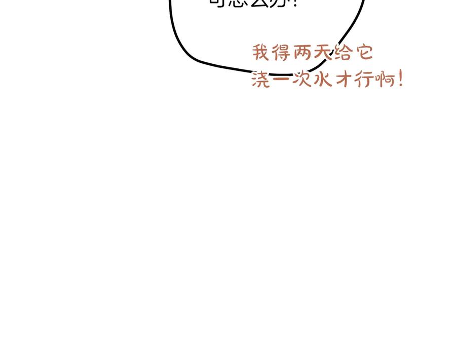 第268页