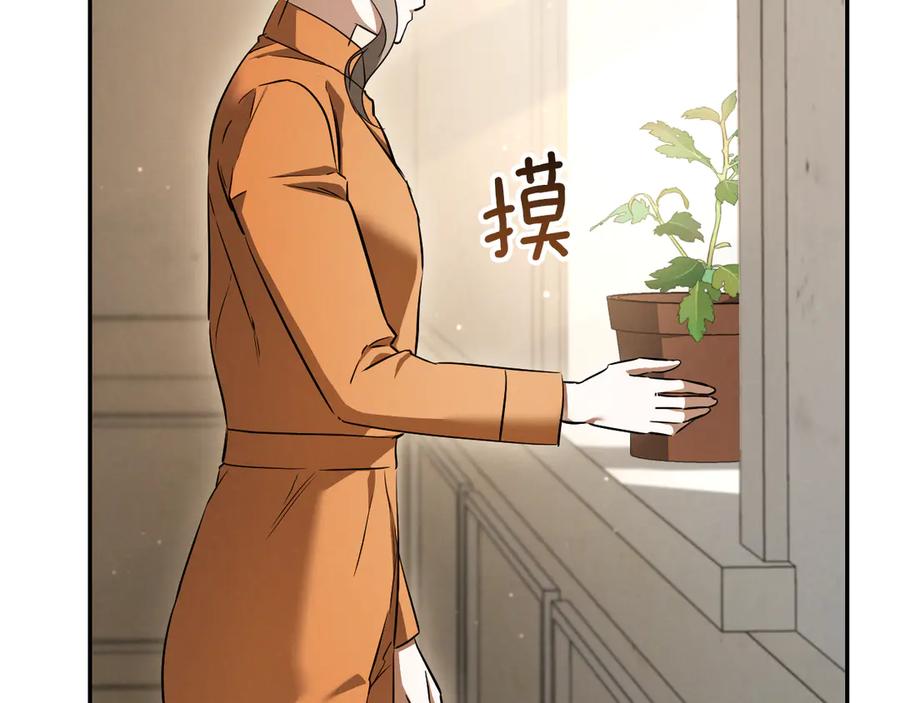 第275页