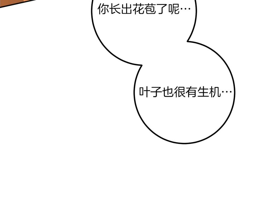 第282页