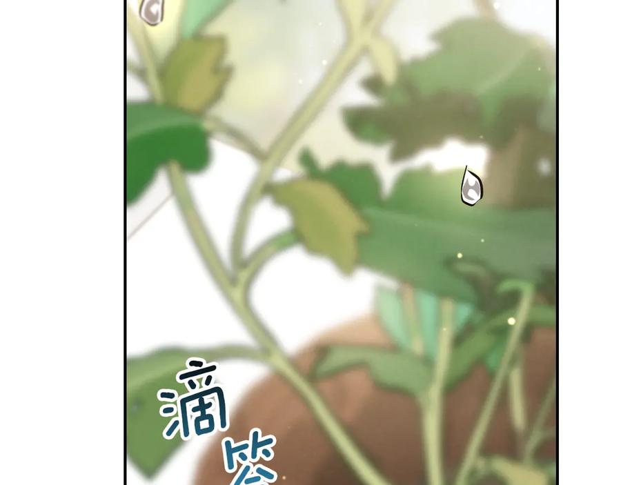 第284页