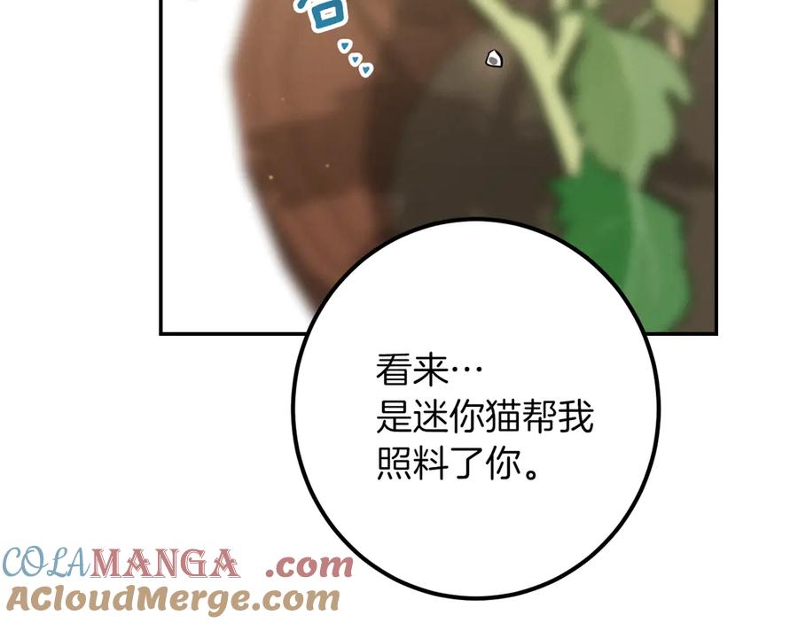 第285页