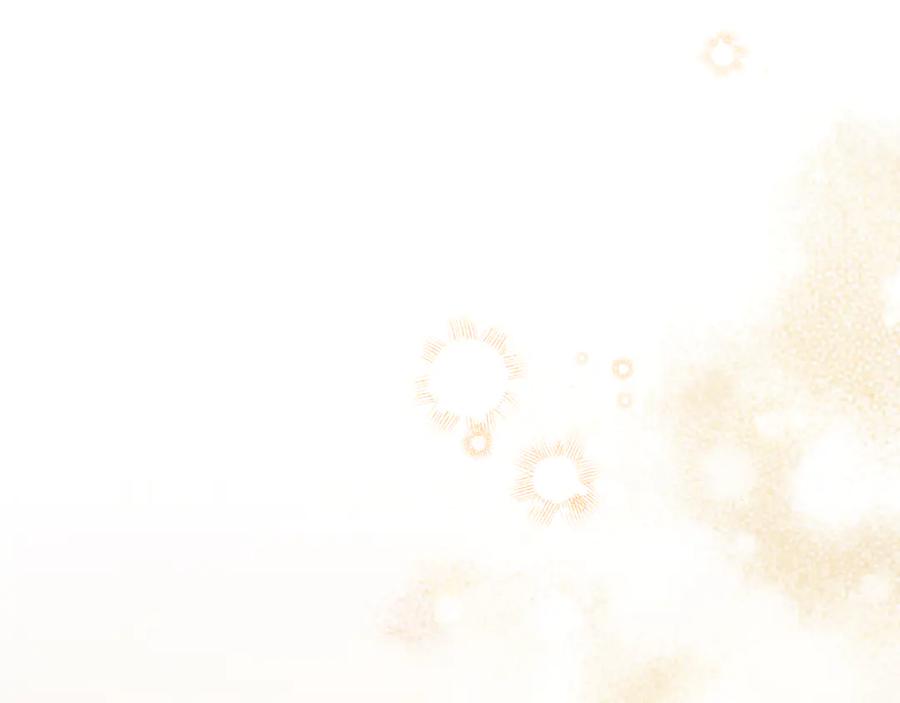 第291页