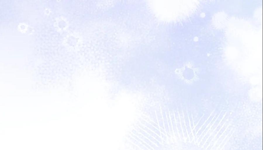 第267页