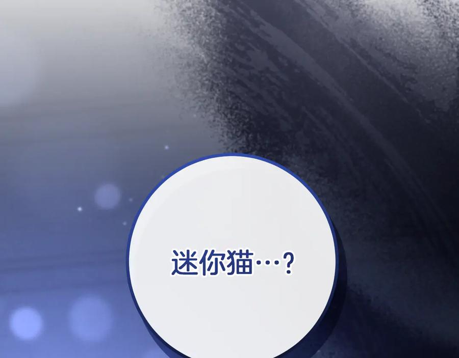 第242页