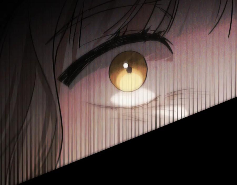 第291页