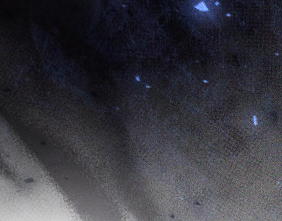 第238页