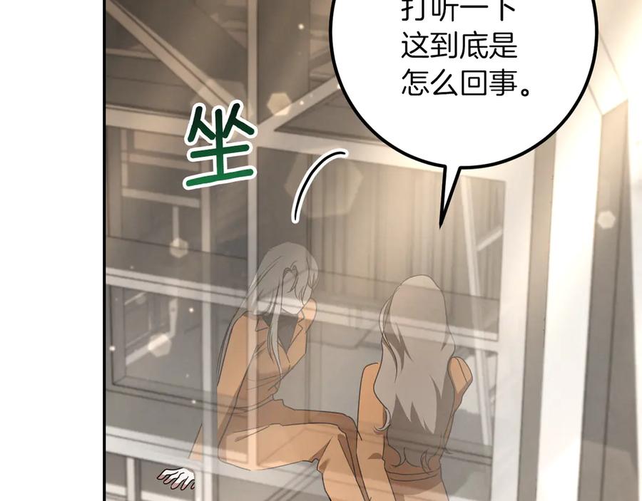 第224页