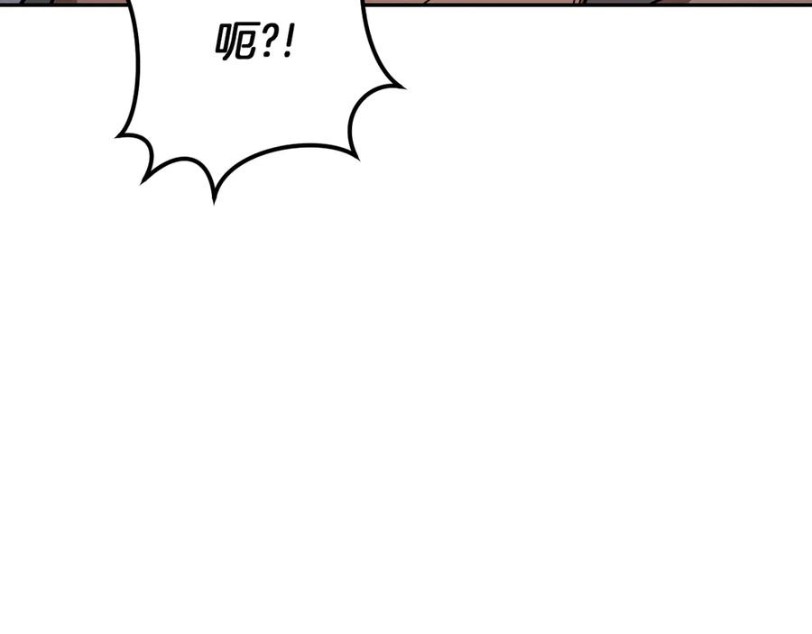 第215页