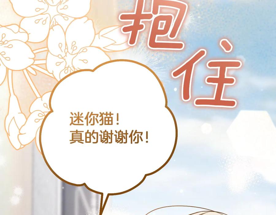 第239页