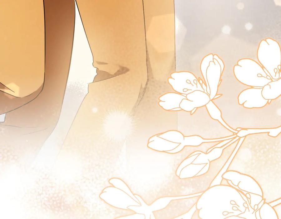 第242页