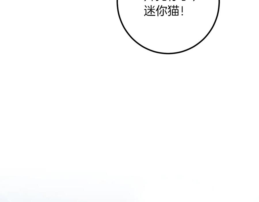 第214页