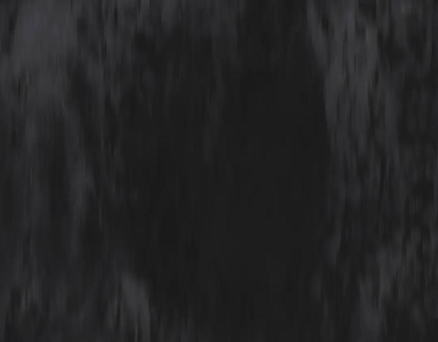 第238页