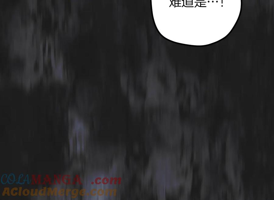 第245页