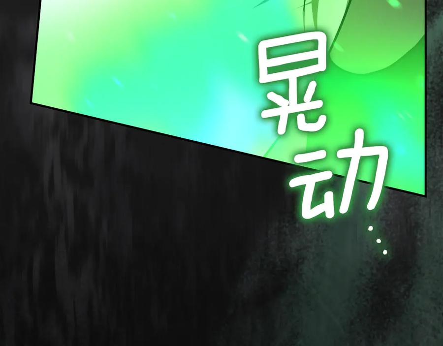 第255页