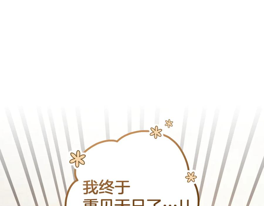 第223页