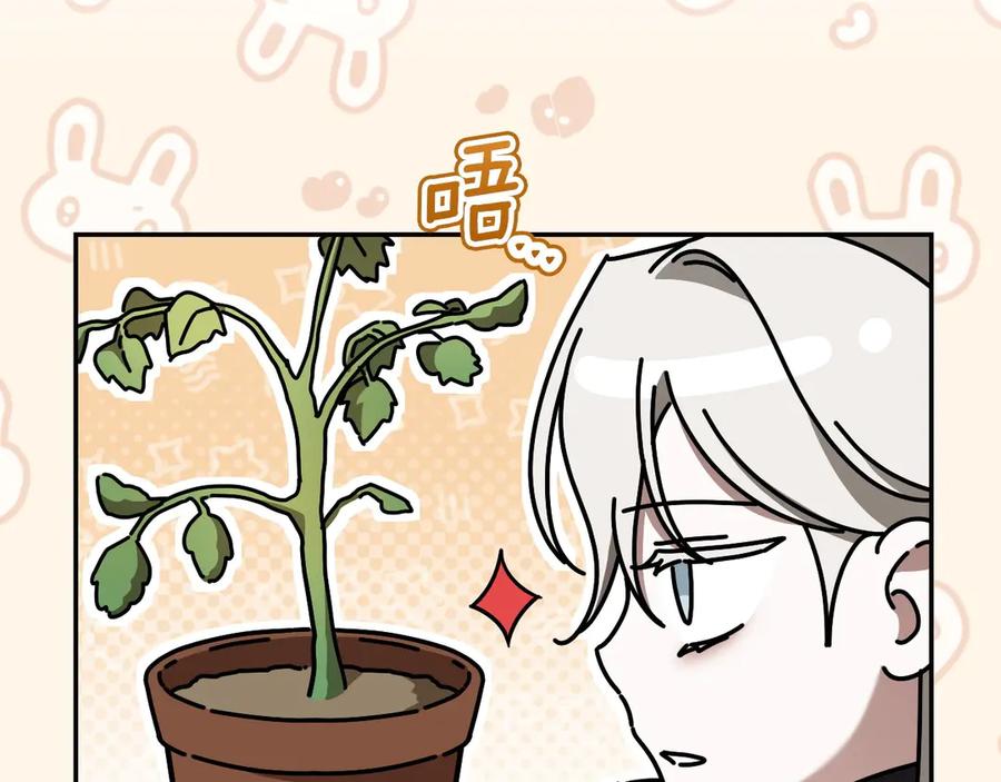 第254页