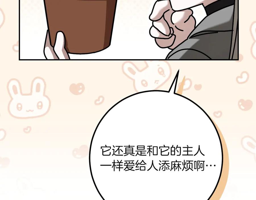 第255页
