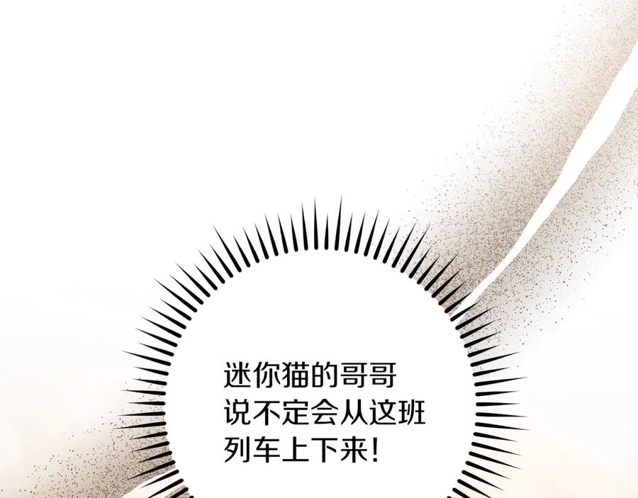 第238页