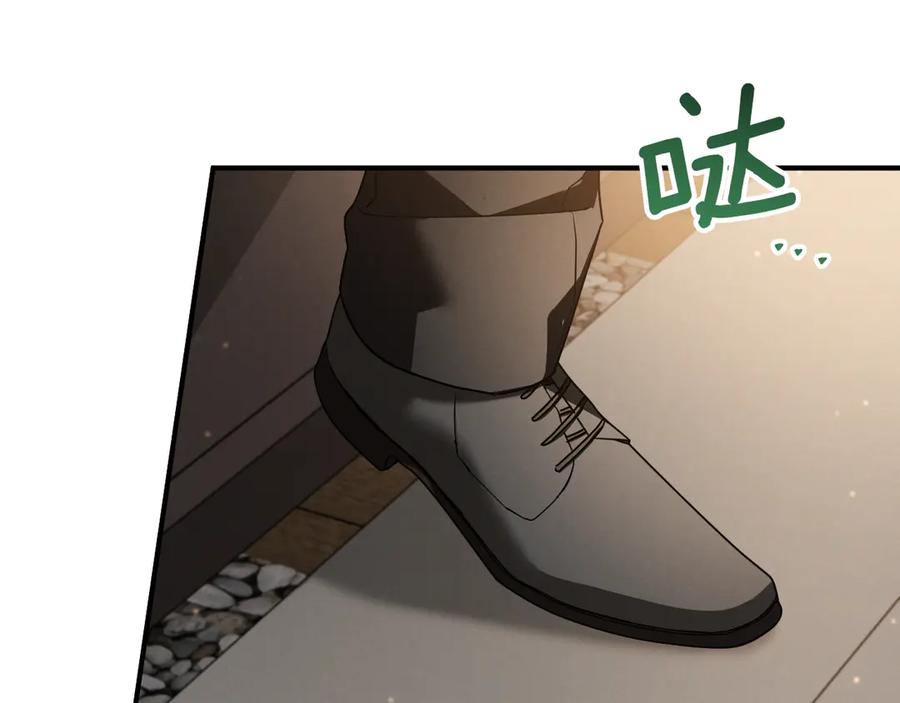 第243页