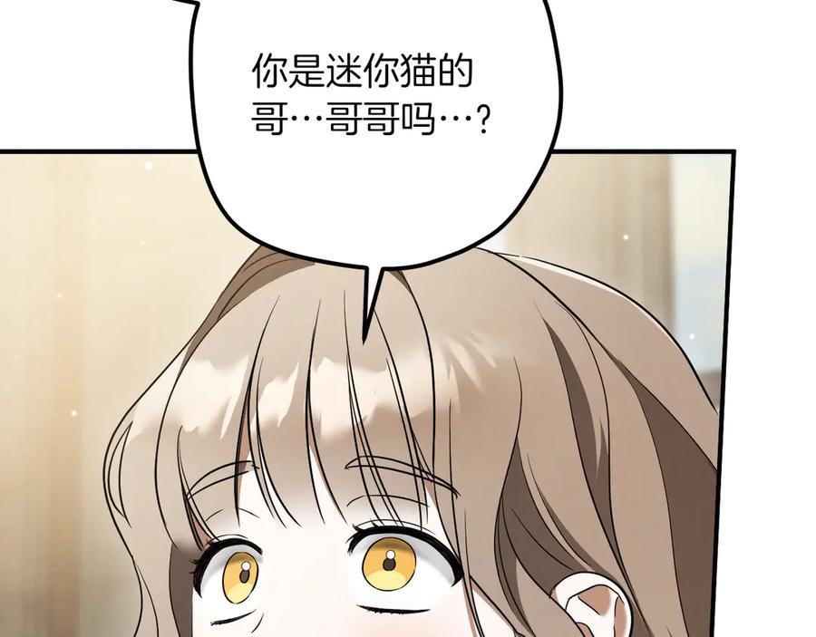 第268页
