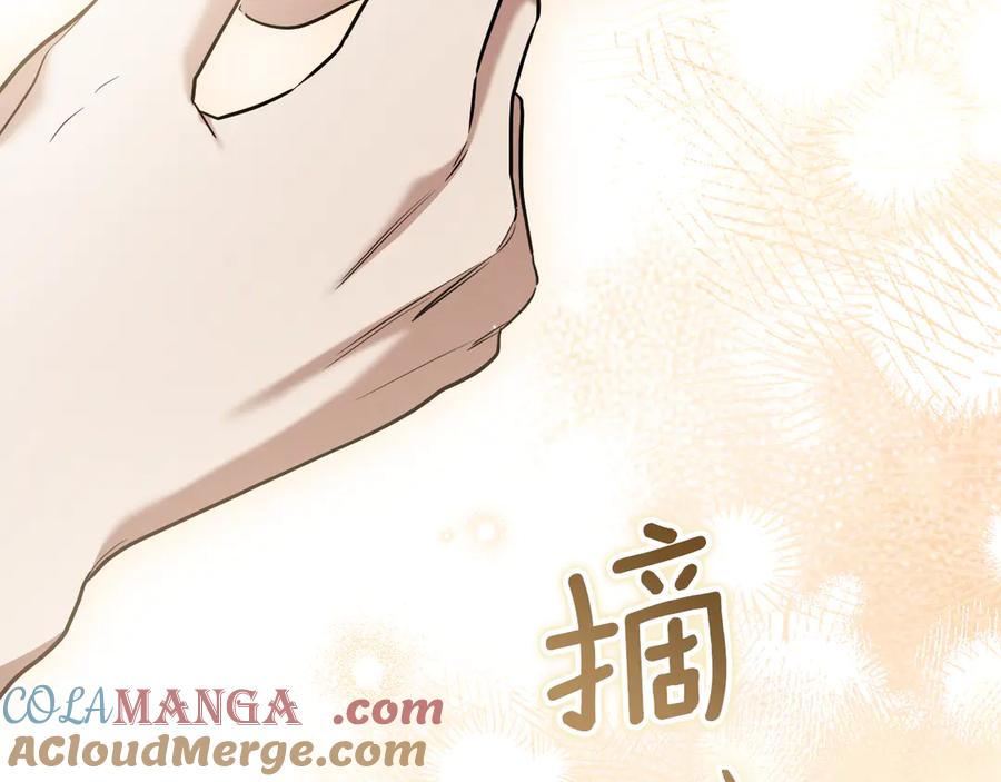 第277页