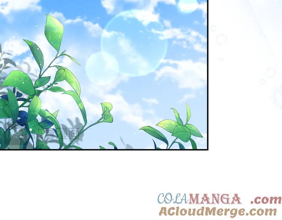 第237页