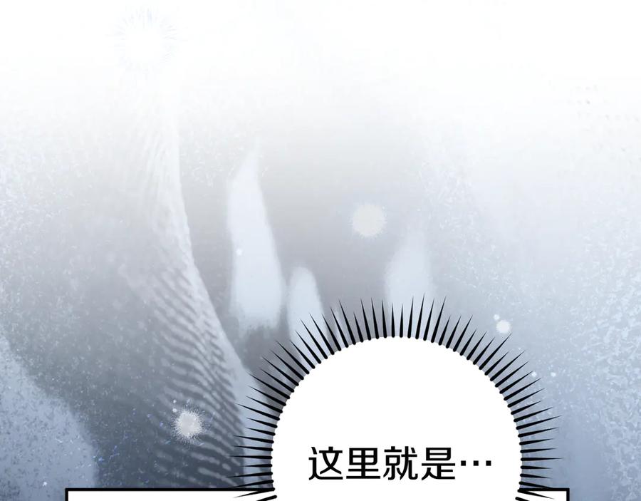 第242页