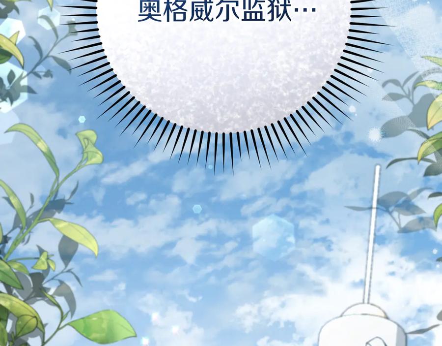 第247页