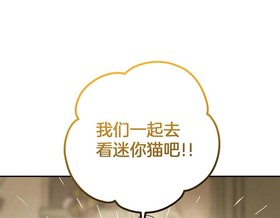 第211页