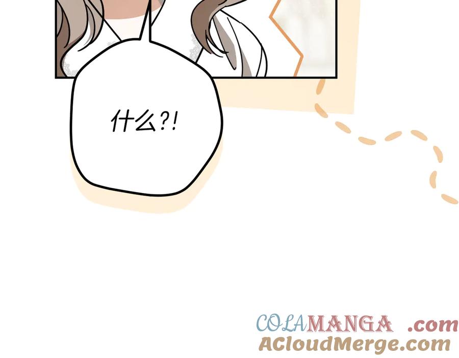 第229页